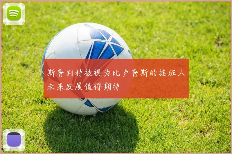 斯普利特被视为比卢普斯的接班人未来发展值得期待